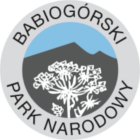 babiogorski_new140140